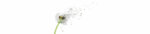 PICit® 122, Nisachterwanden, acryl, 16 mm, glanzend